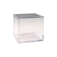 Load image into Gallery viewer, Groomsman announcement, Personalized Baseball/Laser Engraved, engraved baseball, groomsman gift, custom baseball - RCH Gifts
